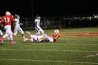 October 18 2019 IMG_3819557